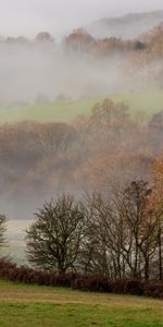 Nature,Brouillard,Les Collines,Collines,Arbres,Pelouse,Paysage