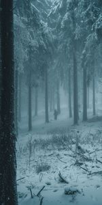 Nature,Fog,Snow,Forest,Winter,Silhouettes,People