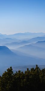 Nature,Brouillard,Épicéa,Sapin,Les Collines,Collines,Dahl,Distance