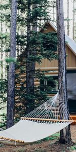 Nature,Forest,Hammock,Structure