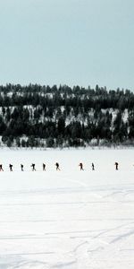 Nature,Forest,Journey,Row,Tourists,Skiers,Trees,Snow