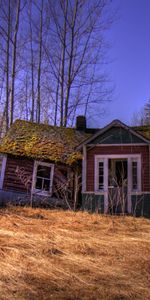 Nature,Forest,Lodge,Landscape,Small House