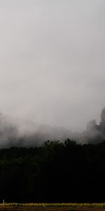 Naturaleza,Fortaleza,Montaña,Niebla,Bosque