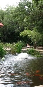 Nature,Fountain,Human,Pond,Fish,Bower,Alcove,Person