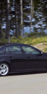 Nature,Grass,Acura,Cars,Forest,Asphalt,Style,Akura,Tl,2007,Side View