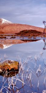 Nature,Grass,Autumn,Rock,Lake,Reflection,Wood,Tree,Stone,Mainly Cloudy,Overcast,Cold,Landscape