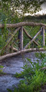 Nature,Grass,Bridge,Landscape,Plants