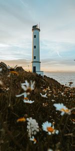 Naturaleza,Flores,Hierba,Edificio,Costa,Faro