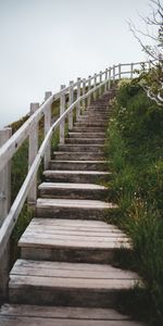 Nature,Grass,Bush,Ladder,Steps,Stairs