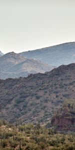 Nature,Grass,Bush,Slope,Hills,Cactuses