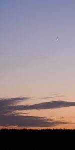 Nature,Grass,Clouds,Evening,Moon