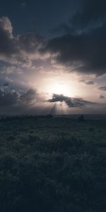 Herbe,Nuages,Domaine,Nuageux,Champ,Nature