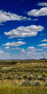 Nature,Grass,Clouds,Horizon,Field,Summer