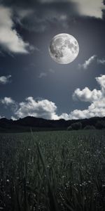 Nature,Grass,Clouds,Photoshop,Field,Full Moon,Moon