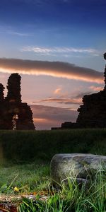 Nature,Grass,Evening