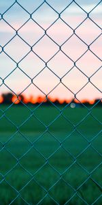 Nature,Grass,Fence,Grid