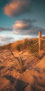 Nature,Grass,Fence,Sand,Beach