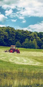 Tracteur,Herbe,Domaine,Nature,Champ,Agriculture