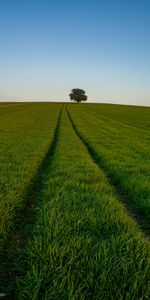 Nature,Grass,Horizon,Road