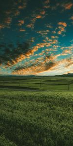 Naturaleza,Hierba,Cielo,Horizonte,Campo