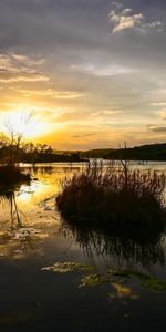 Nature,Grass,Lake,Sunset