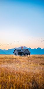 Nature,Grass,Mountains,Field,Birds,House