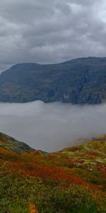 Nature,Grass,Mountains,Rocks,Fog,Taiga