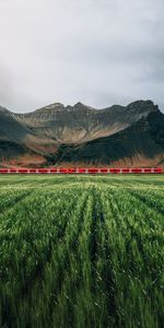 Naturaleza,Hierba,Montañas,Las Rocas,Rocas,Niebla,Un Tren,Tren