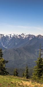 Nature,Grass,Mountains,Snow,Fir,Spruce,Snowbound,Snow Covered,Slope