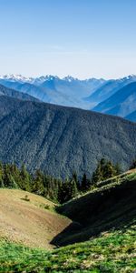 Herbe,Champ,Montagnes,Domaine,Nature,Été