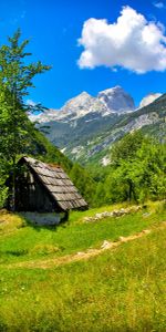 Herbe,Slovénie,Montagnes,Nature,Sun,Été