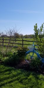 Nature,Grass,Pasture,Bicycle,Meadow