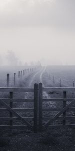 Nature,Grass,Road,Fence,Fog