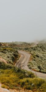 Nature,Grass,Road,Markup,Winding,Sinuous,Fog