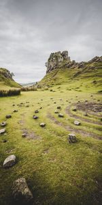 Hierba,Roca,Turismo,Naturaleza,Viaje