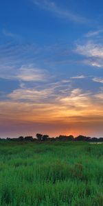 Nature,Grass,Sky,Clouds,Field,Soleros,Sunset,Horizon