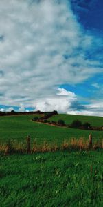 Nature,Grass,Sky,Clouds,Summer,Field