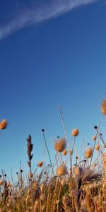 Nature,Grass,Sky,Dry,Cloud,Track,Trace,Stripe,Band,Brightly