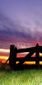 Nature,Grass,Sky,Fence,Evening