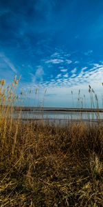 Nature,Grass,Sky,Horizon,Dry