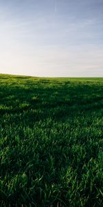 Naturaleza,Hierba,Horizonte,Campo,Cielo