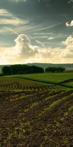 Paisaje,Naturaleza,Hierba,Los Campos,Cielo