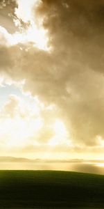 Nature,Grass,Sky,Light,Tree,Clouds,Shine,Wood,Lonely,Meadow