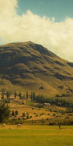 Nature,Grass,Sky,Mountains