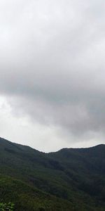 Nature,Grass,Sky,Mountains,Dahl,Trees,Distance