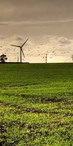 Nature,Grass,Sky,Shine,Wind,Summer,Light