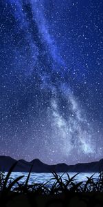 Nature,Grass,Sky,Stars,Starry Sky,Night,Art,Milky Way