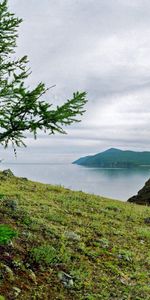 Naturaleza,Hierba,Cielo,Verano