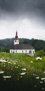 Nature,Grass,Slovenia,Flowers,Field,Temple