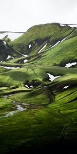 Herbe,Sommet,Les Collines,Collines,Hauts,Couvert De Neige,Snowbound,Nature,Neige